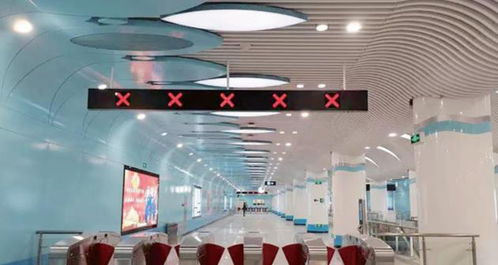 創新技術，產品為王——對話深圳茂碩電子科技總經理謝擁軍